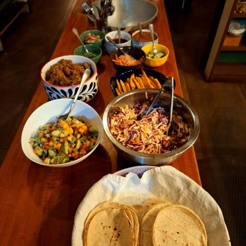 Ayurvedic wellness consultation for optimal diet and health