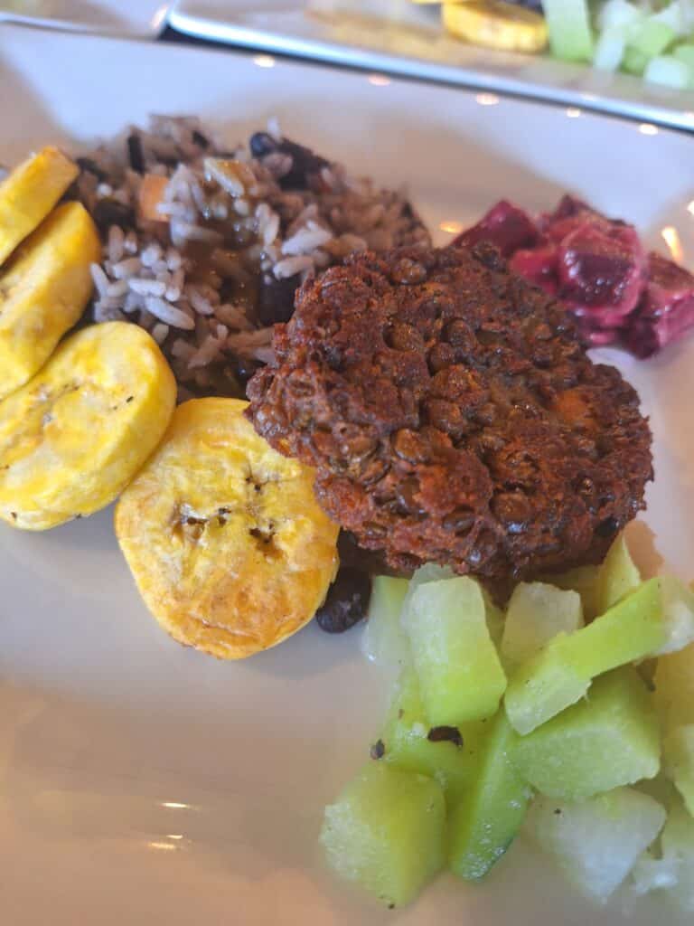 costa rica vegan food