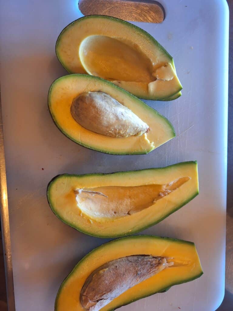 Costa rican food vegan avocado