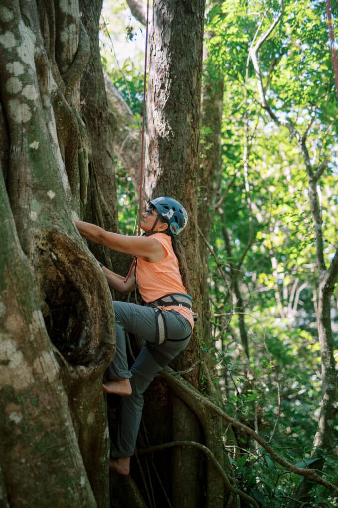 tree climbing yoga retreat costa rica monteverde