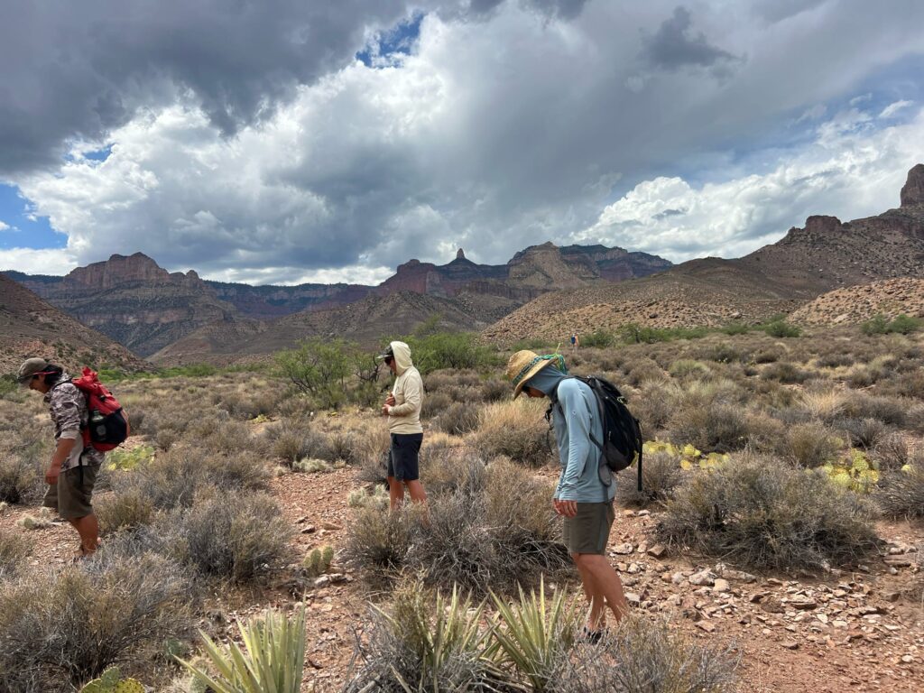 Experience being in the desert in the extreme heat