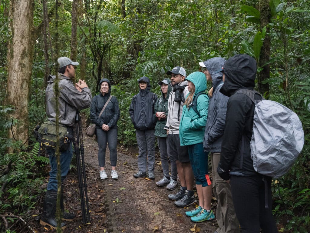 monteverde reserve tour