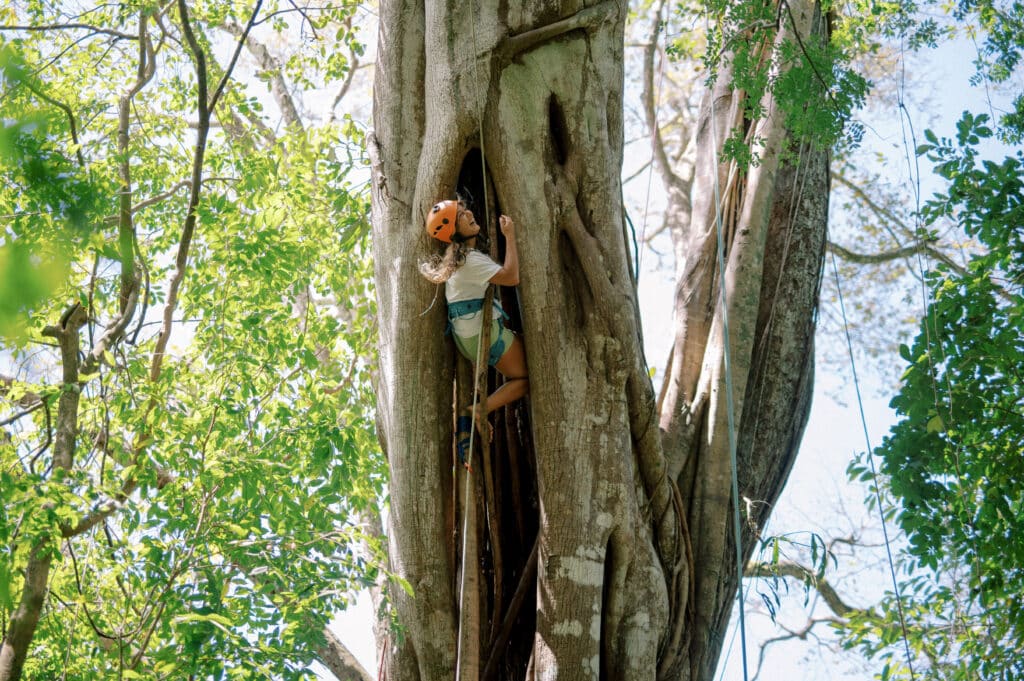 climbing trees costa rica