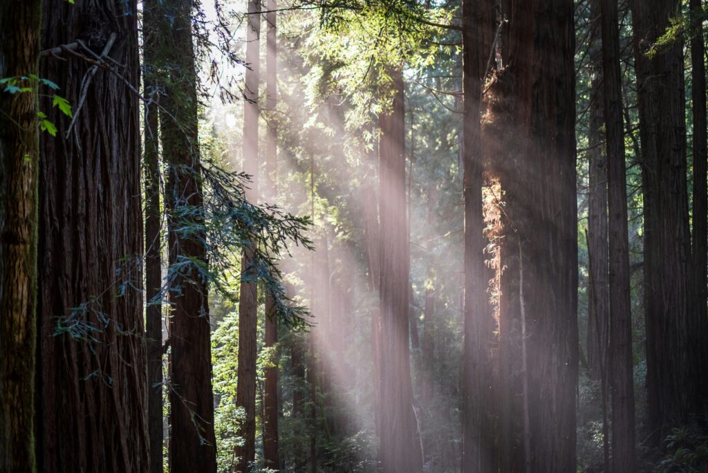 Grounding practices for balancing Vata