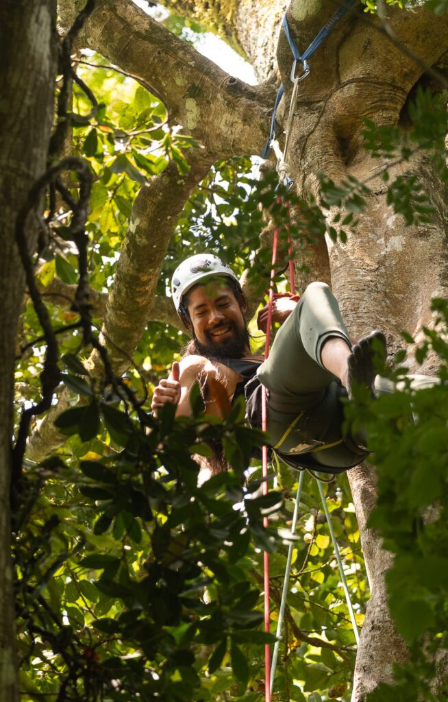 Costa Rica tree climbing