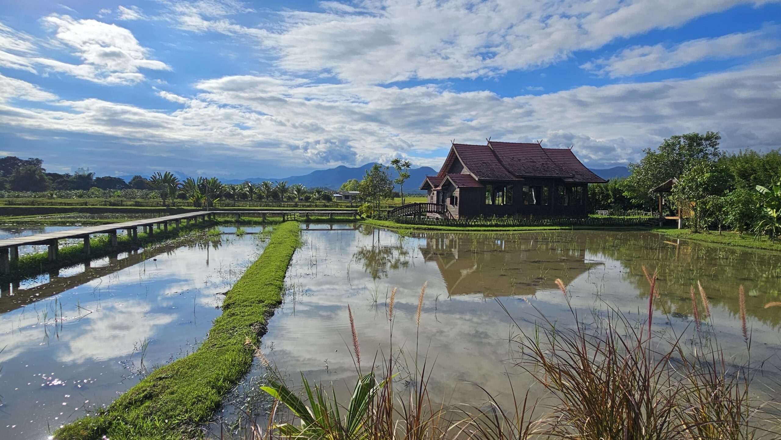 Thailand yoga retreat at Suan Sati